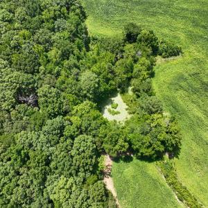 Photo #36 of Off of Oxford Rd/Robert Ladd Dr, Rougemont, NC 27.3 acres