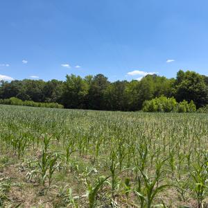 Photo #37 of Off of Oxford Rd/Robert Ladd Dr, Rougemont, NC 27.3 acres