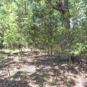 Photo #45 of Off of Oxford Rd/Robert Ladd Dr, Rougemont, NC 27.3 acres