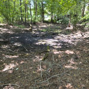 Photo #46 of Off of Oxford Rd/Robert Ladd Dr, Rougemont, NC 27.3 acres
