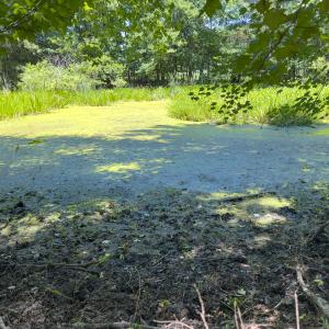 Photo #47 of Off of Oxford Rd/Robert Ladd Dr, Rougemont, NC 27.3 acres