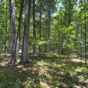 Photo #48 of Off of Oxford Rd/Robert Ladd Dr, Rougemont, NC 27.3 acres