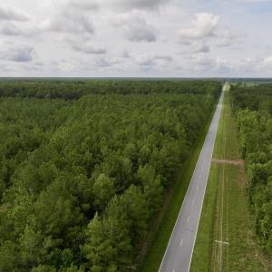Photo #13 of Lot 5 Cupelo Rd, Farmville, NC 9.6 acres