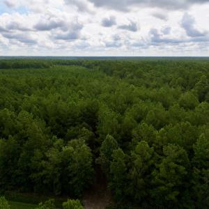 Photo #2 of Lot 5 Cupelo Rd, Farmville, NC 9.6 acres