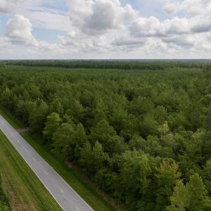 Photo #3 of Lot 5 Cupelo Rd, Farmville, NC 9.6 acres