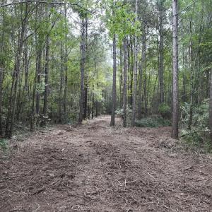 Photo #5 of Lot 5 Cupelo Rd, Farmville, NC 9.6 acres
