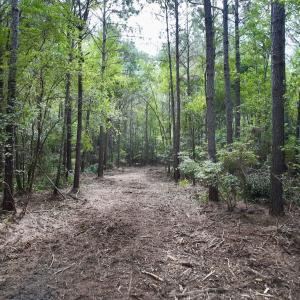 Photo #6 of Lot 5 Cupelo Rd, Farmville, NC 9.6 acres