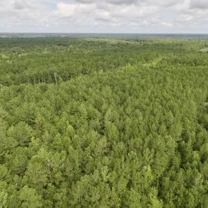 Photo #7 of Lot 5 Cupelo Rd, Farmville, NC 9.6 acres