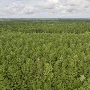 Photo #8 of Lot 5 Cupelo Rd, Farmville, NC 9.6 acres