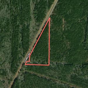 Photo #18 of Lot 5 Cupelo Rd, Farmville, NC 9.6 acres