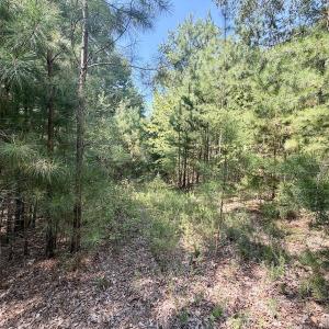 Photo #13 of Lot 98A Greenberry DR, Pittsville, VA 1.9 acres