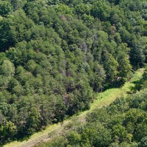 Photo #16 of Lot 98A Greenberry DR, Pittsville, VA 1.9 acres