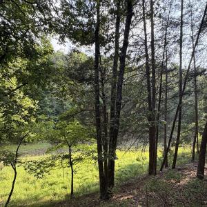 Photo #19 of Lot 98A Greenberry DR, Pittsville, VA 1.9 acres