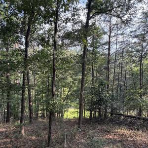 Photo #20 of Lot 98A Greenberry DR, Pittsville, VA 1.9 acres