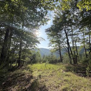 Photo #9 of Lot 98A Greenberry DR, Pittsville, VA 1.9 acres