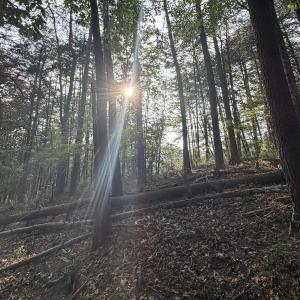 Photo #22 of Lot 98A Greenberry DR, Pittsville, VA 1.9 acres