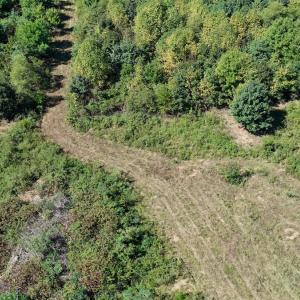 Photo #12 of 4200 Diamond Hill RD , Moneta, VA 18.0 acres