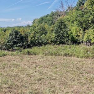 Photo #13 of 4200 Diamond Hill RD , Moneta, VA 18.0 acres