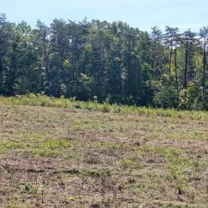 Photo #15 of 4200 Diamond Hill RD , Moneta, VA 18.0 acres
