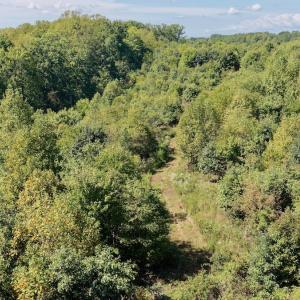 Photo #16 of 4200 Diamond Hill RD , Moneta, VA 18.0 acres