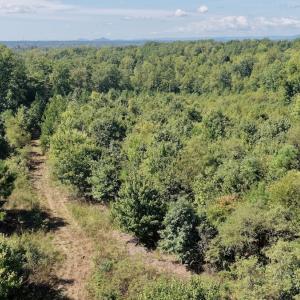 Photo #17 of 4200 Diamond Hill RD , Moneta, VA 18.0 acres