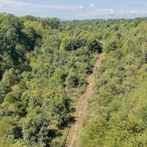 Photo #19 of 4200 Diamond Hill RD , Moneta, VA 18.0 acres