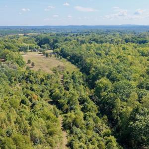 Photo #20 of 4200 Diamond Hill RD , Moneta, VA 18.0 acres