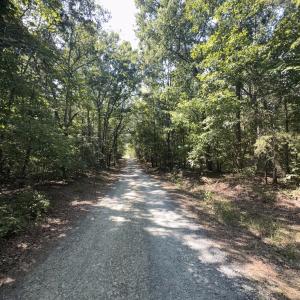 Photo #1 of Off of Flat Swamp Rd, Denton, NC 18.5 acres