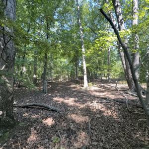Photo #10 of Off of Flat Swamp Rd, Denton, NC 18.5 acres