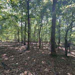 Photo #12 of Off of Flat Swamp Rd, Denton, NC 18.5 acres