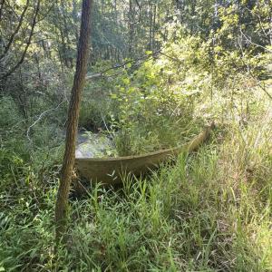 Photo #31 of Off of Flat Swamp Rd, Denton, NC 18.5 acres