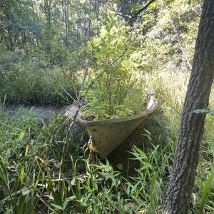 Photo #33 of Off of Flat Swamp Rd, Denton, NC 18.5 acres