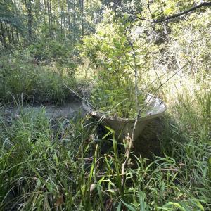 Photo #34 of Off of Flat Swamp Rd, Denton, NC 18.5 acres