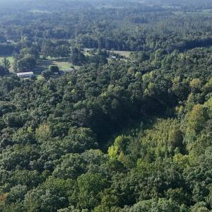Photo #38 of Off of Flat Swamp Rd, Denton, NC 18.5 acres