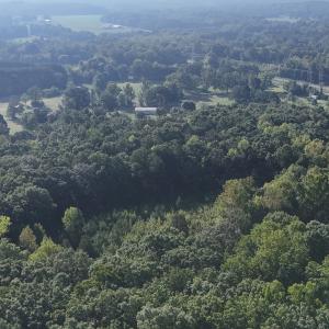 Photo #40 of Off of Flat Swamp Rd, Denton, NC 18.5 acres