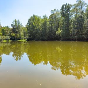 Photo #2 of Off of Park Springs Road, Ruffin, NC 26.4 acres