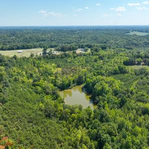 Photo #4 of Off of Park Springs Road, Ruffin, NC 26.4 acres