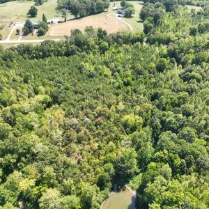 Photo #5 of Off of Park Springs Road, Ruffin, NC 26.4 acres