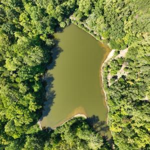 Photo #8 of Off of Park Springs Road, Ruffin, NC 26.4 acres