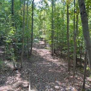 Photo #10 of Off of Park Springs Road, Ruffin, NC 26.4 acres
