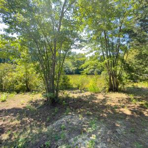 Photo #11 of Off of Park Springs Road, Ruffin, NC 26.4 acres
