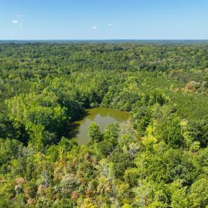 Photo #12 of Off of Park Springs Road, Ruffin, NC 26.4 acres
