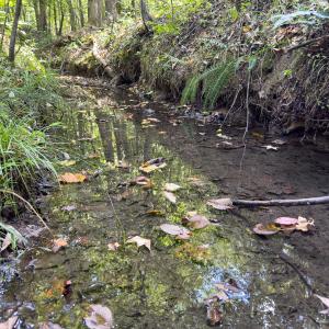 Photo #14 of Off of Park Springs Road, Ruffin, NC 26.4 acres