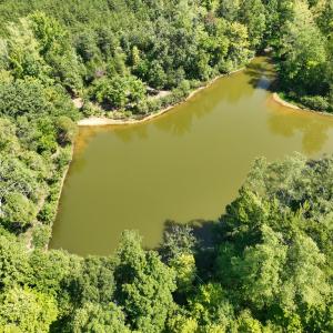 Photo #17 of Off of Park Springs Road, Ruffin, NC 26.4 acres