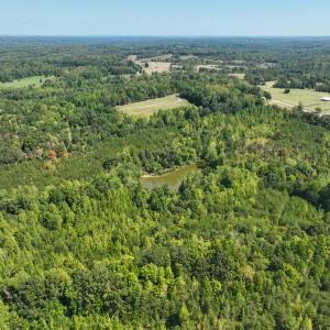 Photo #21 of Off of Park Springs Road, Ruffin, NC 26.4 acres