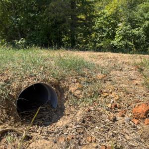 Photo #22 of Off of Park Springs Road, Ruffin, NC 26.4 acres