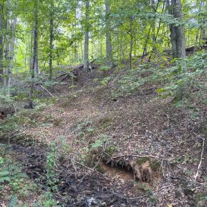 Photo #23 of Off of Park Springs Road, Ruffin, NC 26.4 acres