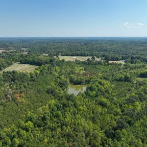 Photo #24 of Off of Park Springs Road, Ruffin, NC 26.4 acres