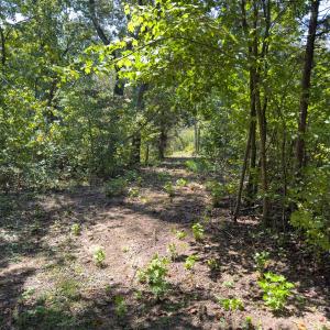 Photo #31 of Off of Park Springs Road, Ruffin, NC 26.4 acres