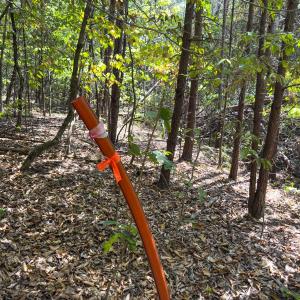 Photo #32 of Off of Park Springs Road, Ruffin, NC 26.4 acres